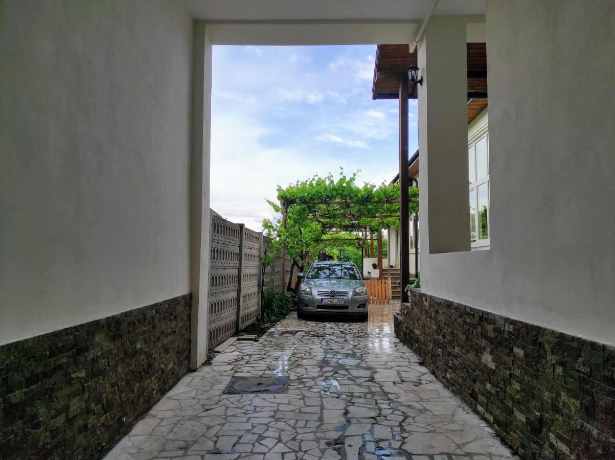 ホテル Casa David Ferenc Haz デヴァ エクステリア 写真